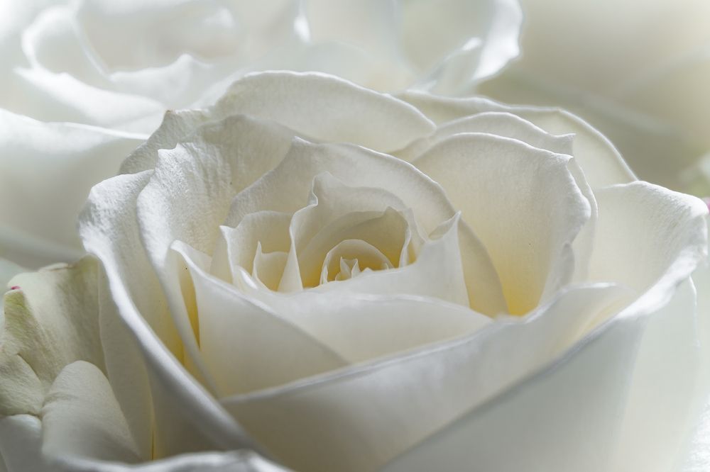 Photograph by Valdis Serzhans