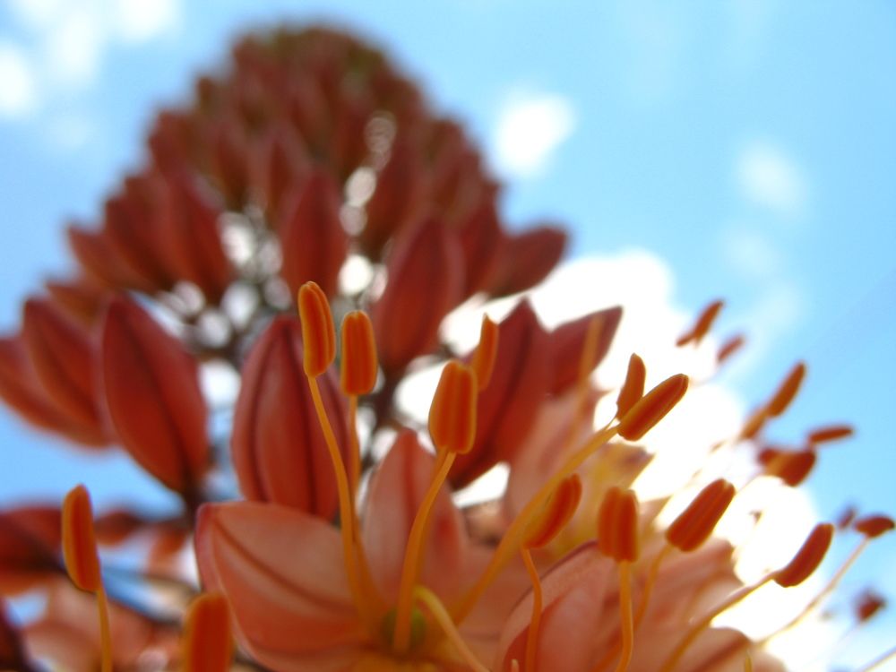 Photograph by Орл Про