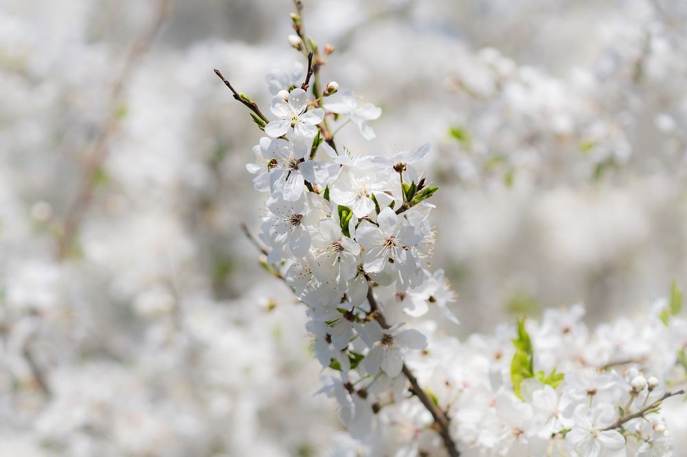 Photograph by Valdis Serzhans