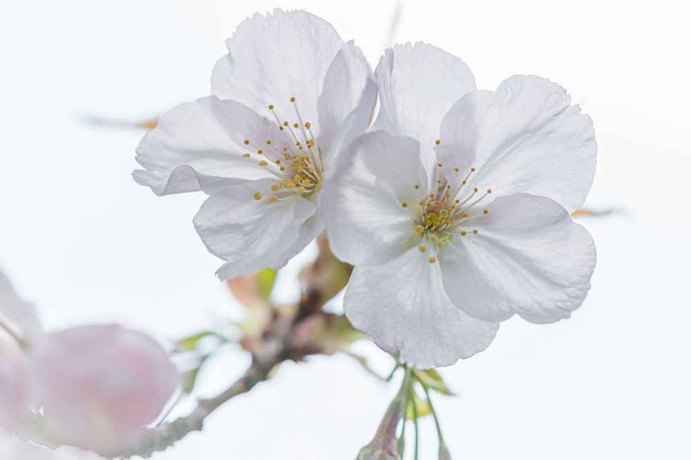 Photograph by Valdis Serzhans