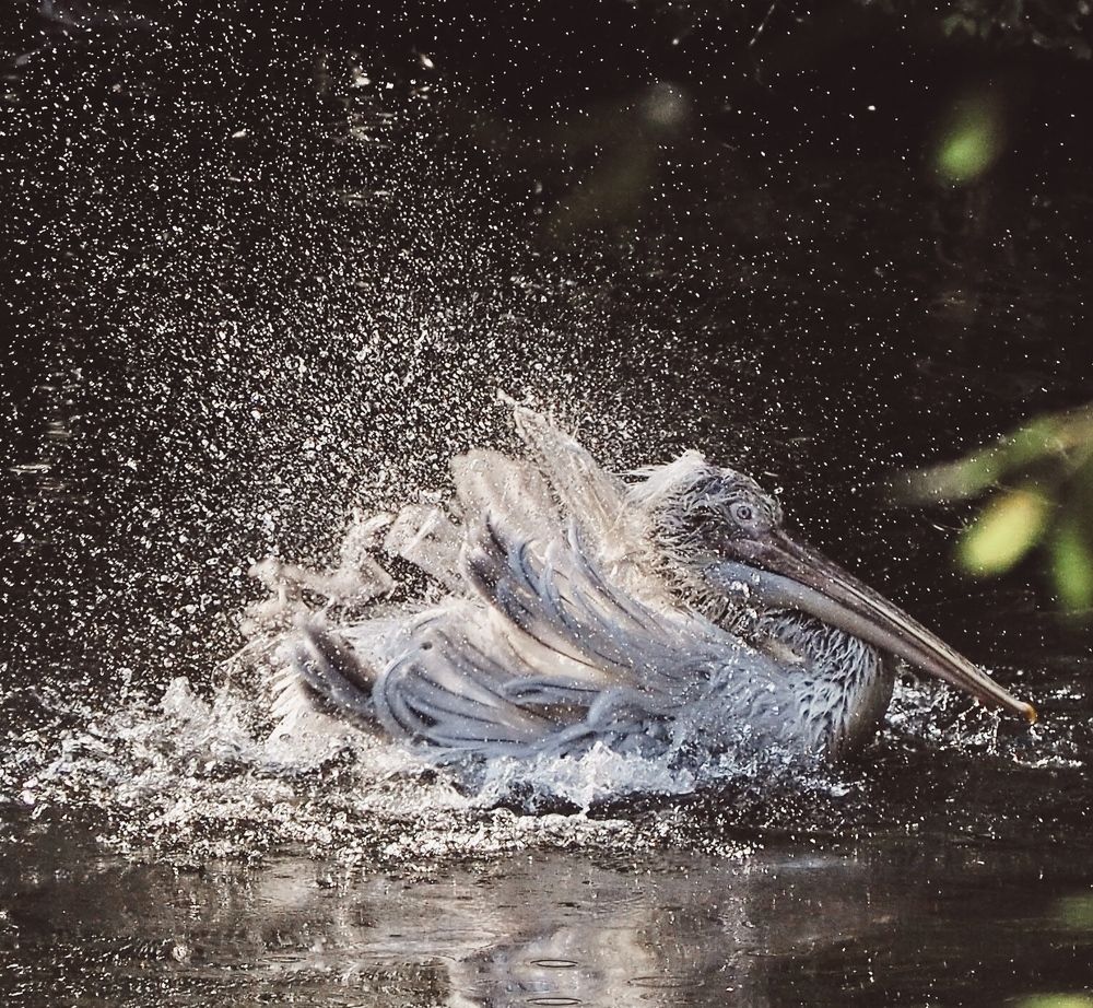 Photograph by Tatyana Markova