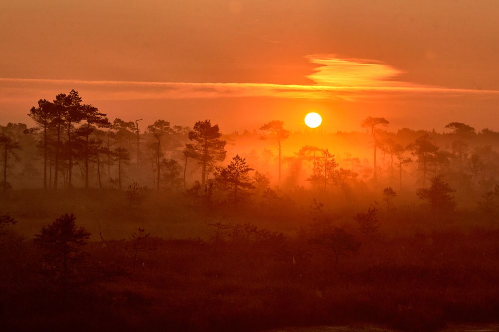 Photograph by Alla Matrosova