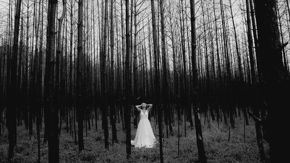 Photograph by Артём Бояров