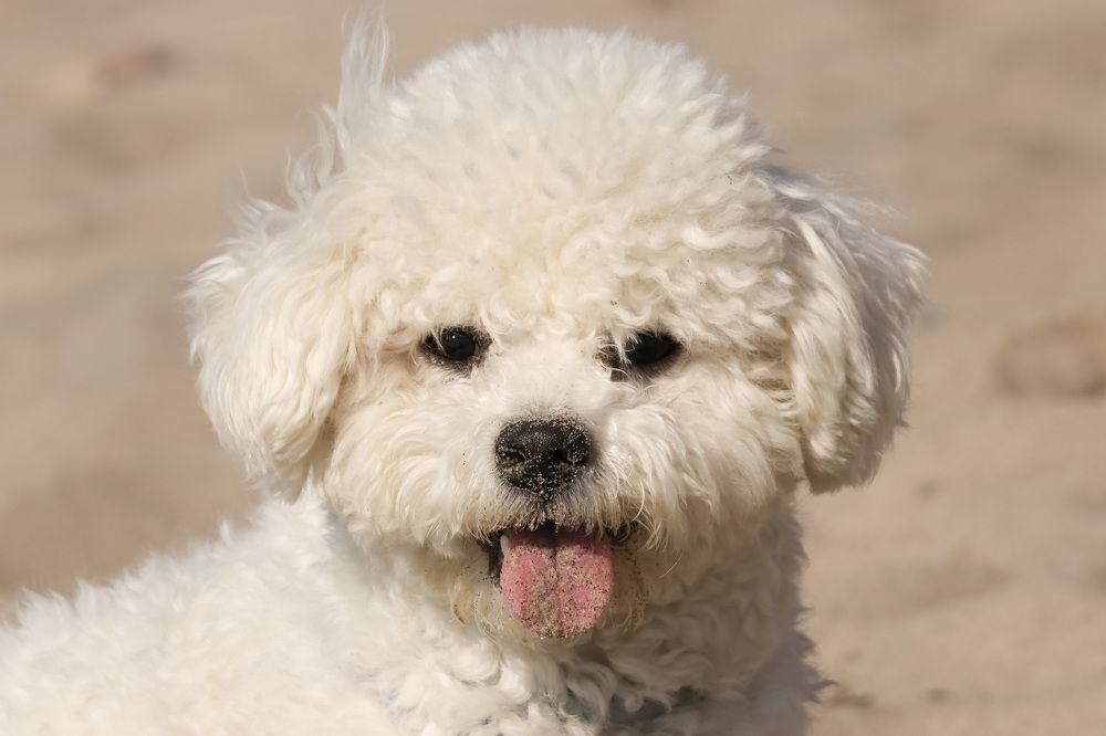 Photograph by Наталья Гайдукевич