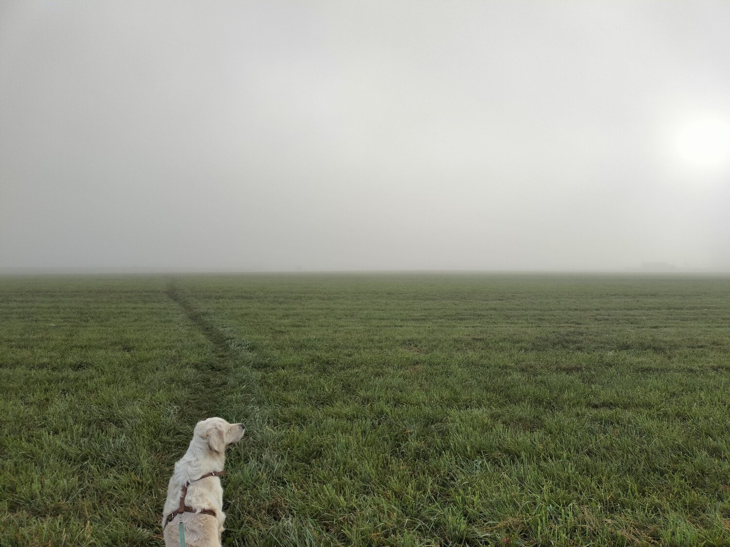 Photo #9477904