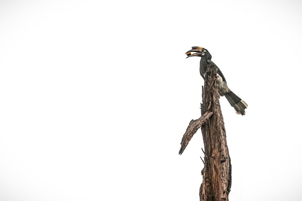 Photograph by Sharad Mansharamani