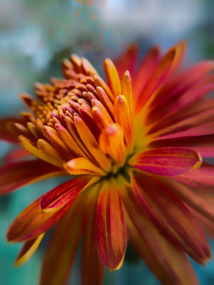 Photograph by Светлана Смирнова