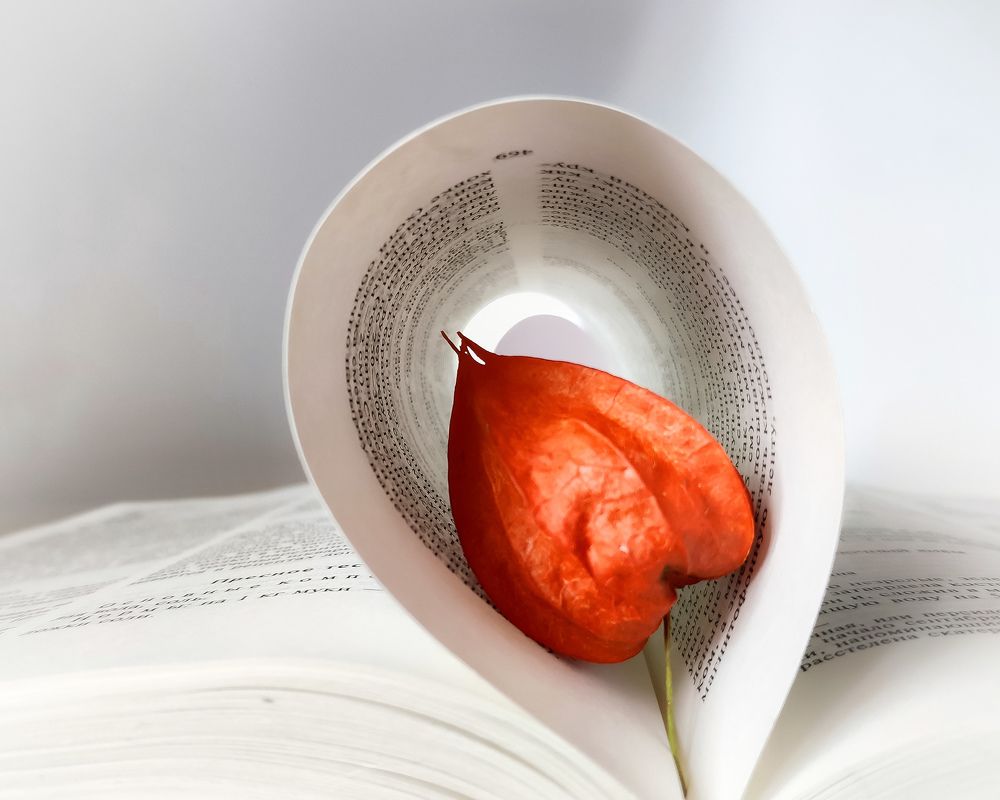 Photograph by Светлана Смирнова