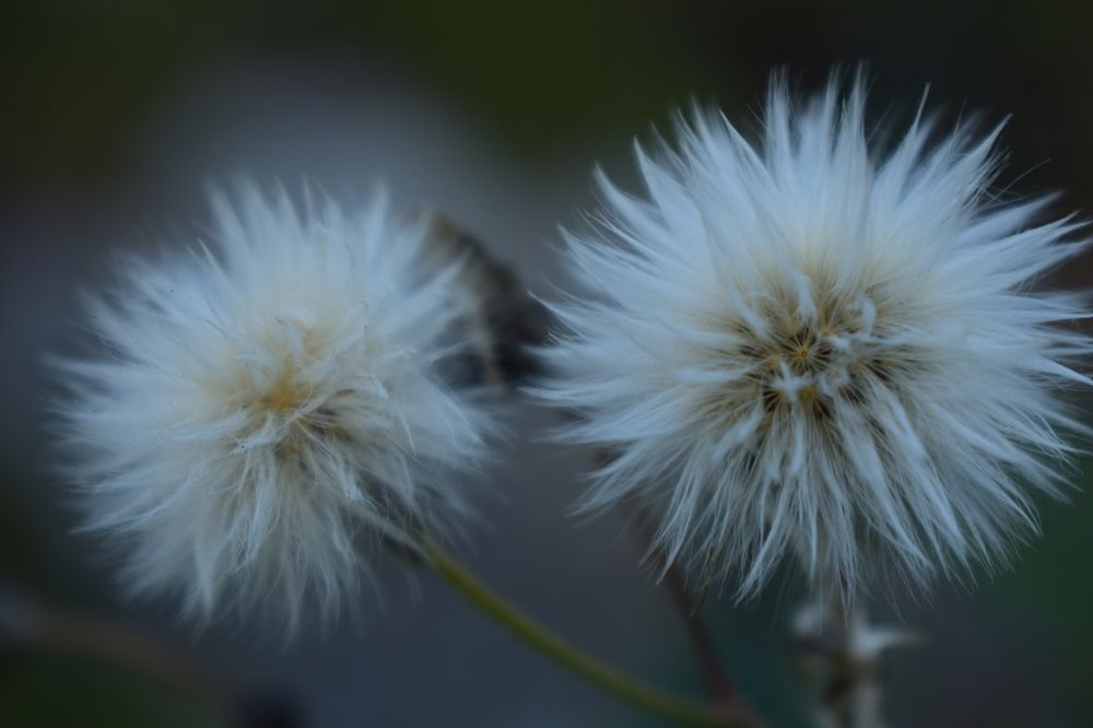 Photograph by Наталья Еременко