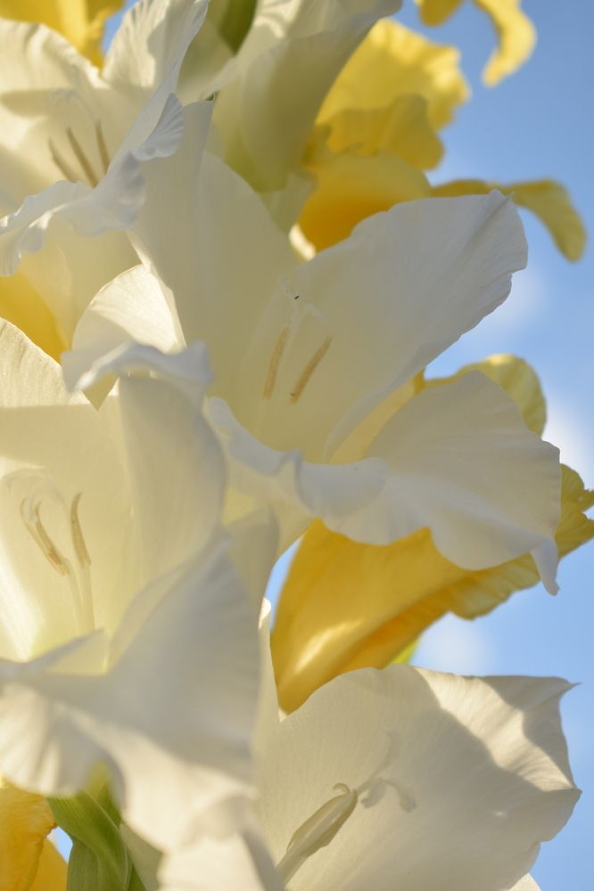 Photograph by Наталья Еременко