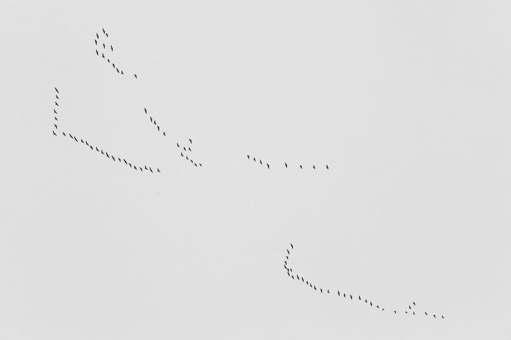 Photograph by Владимир Грибков