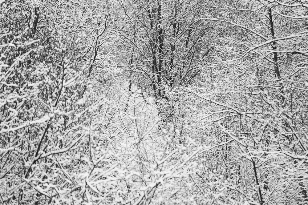 Photograph by Владимир Грибков