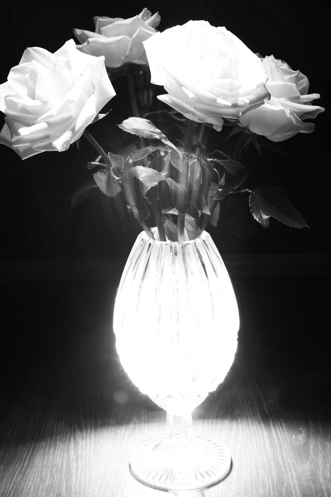 Photograph by Владимир Грибков