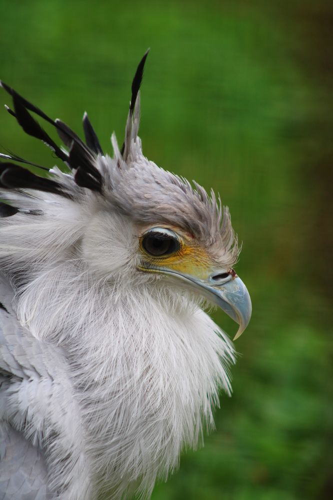 Photograph by Светлана Шуткова