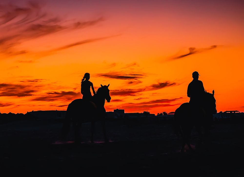 Photograph by Трепольский Дмитрий