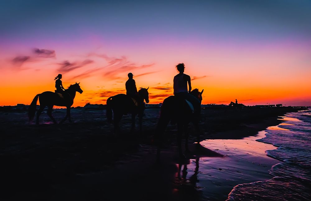 Photograph by Трепольский Дмитрий