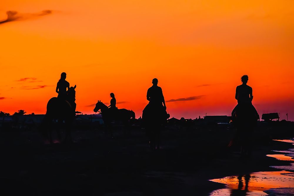 Photograph by Трепольский Дмитрий