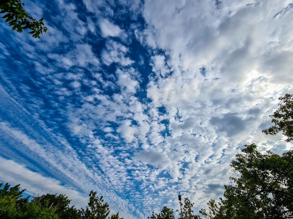 Photograph by Алёна Стародубцева