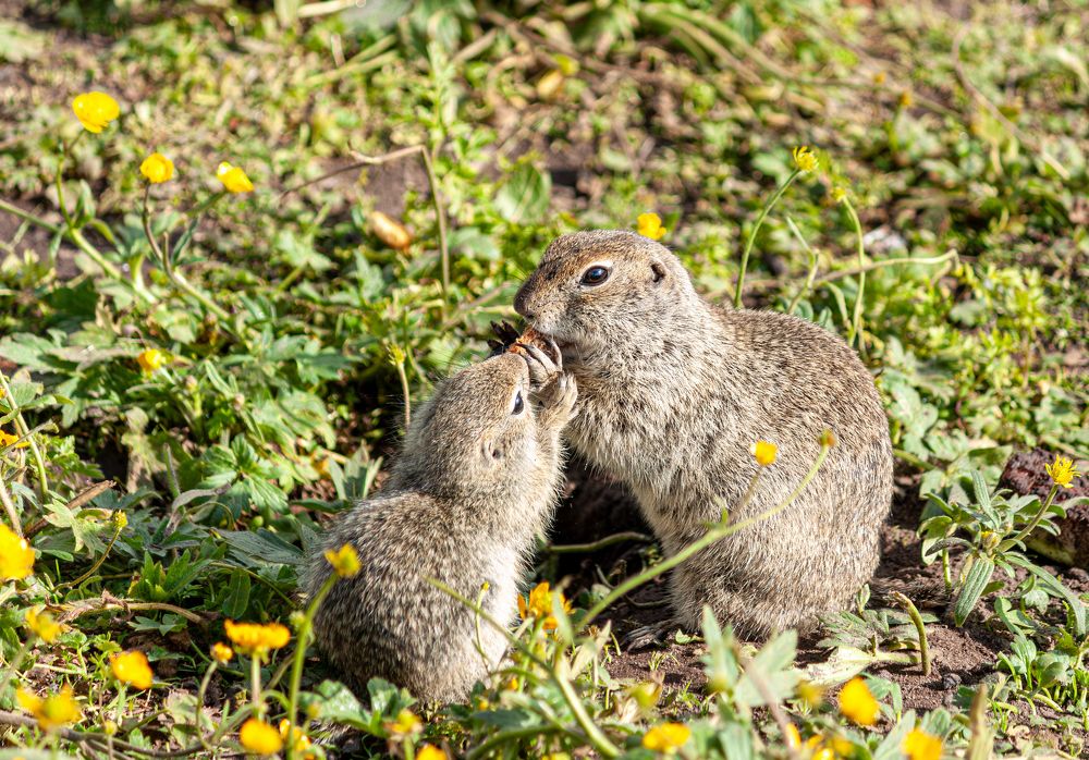 Photograph by Сергей Христинич