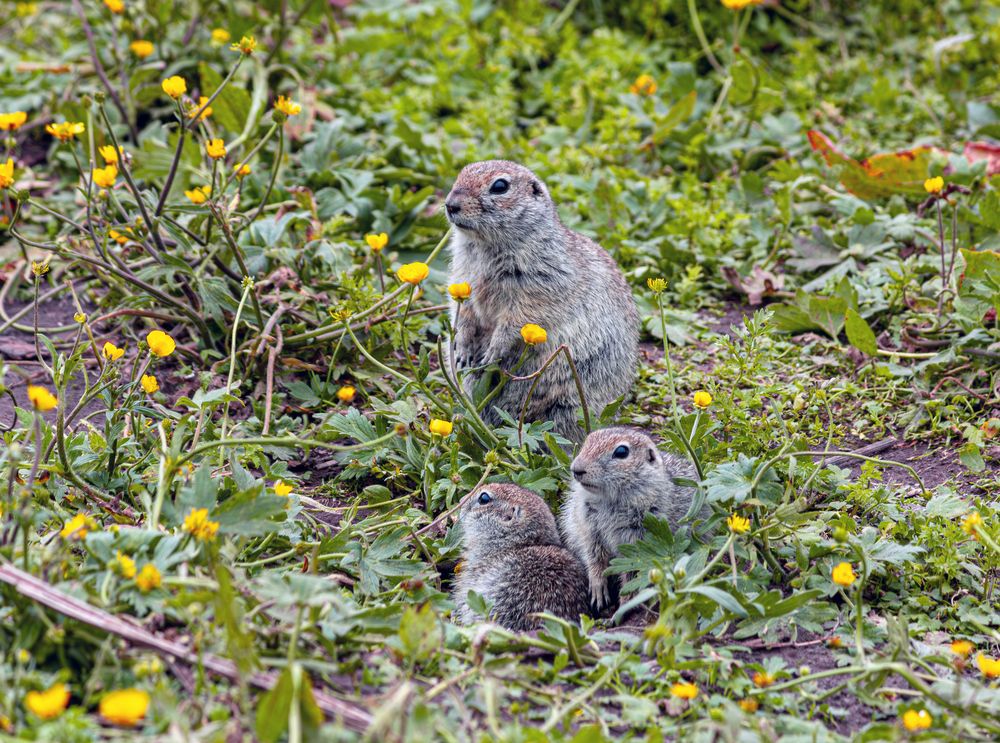 Photograph by Сергей Христинич