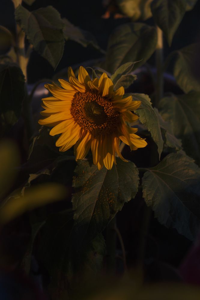 Photograph by Anna Dubinina