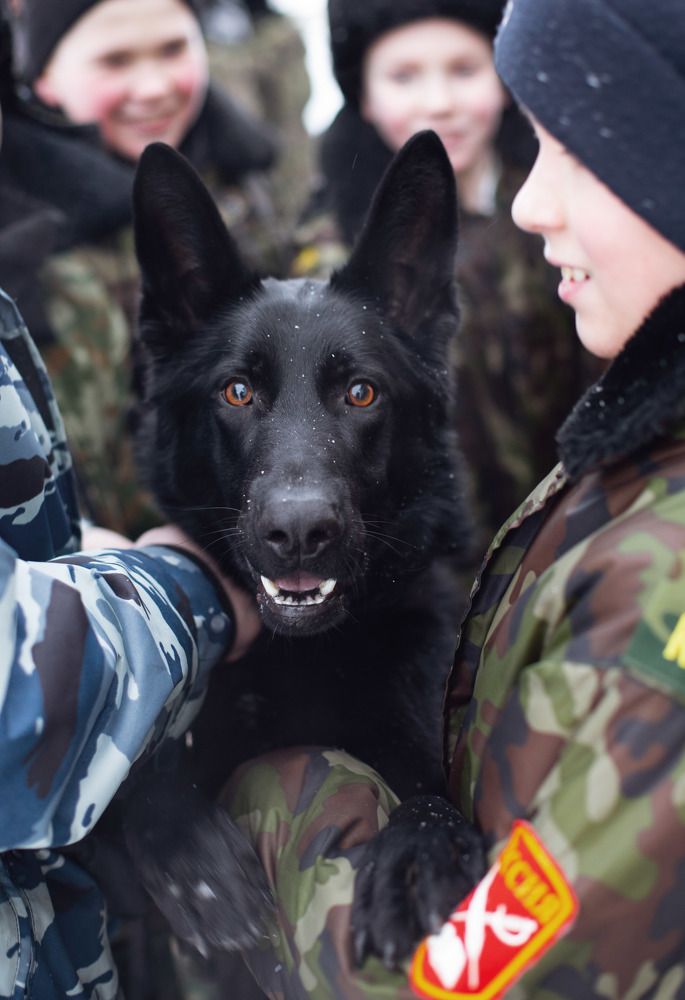 Photograph by Александр Крылов