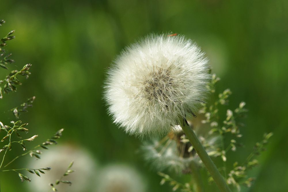 Photograph by Анатолий Максимов