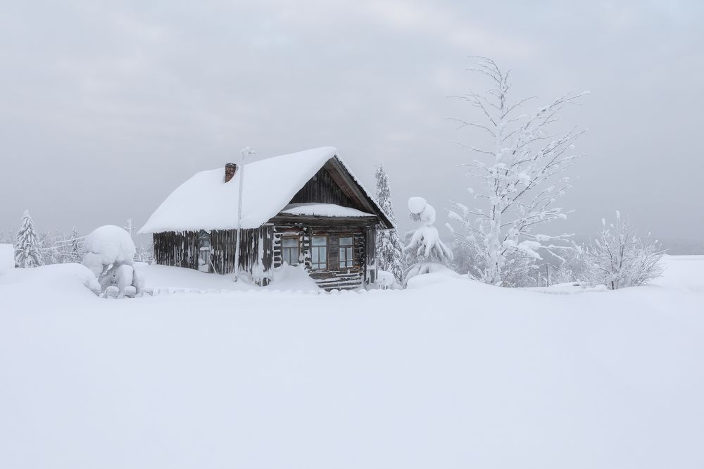 Фотография автора Александр Пашеничев