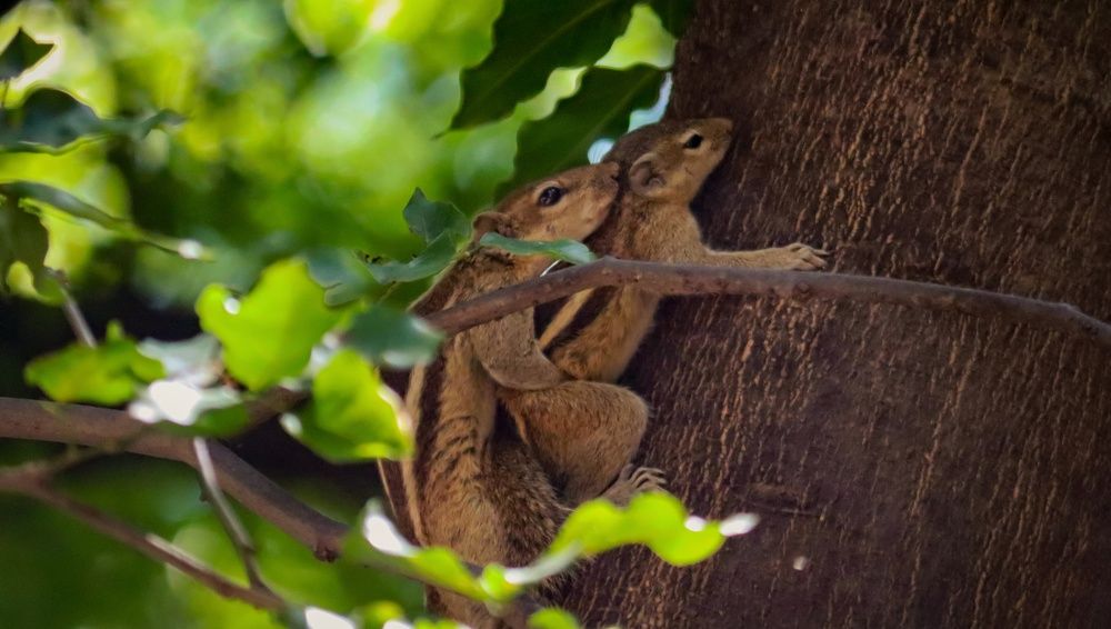 Photograph by SARAVANA MANICKAM