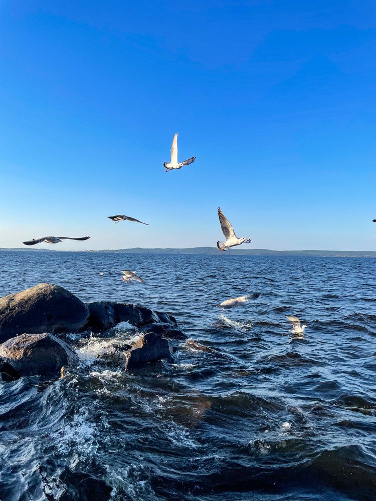 Photograph by Лия Маликова