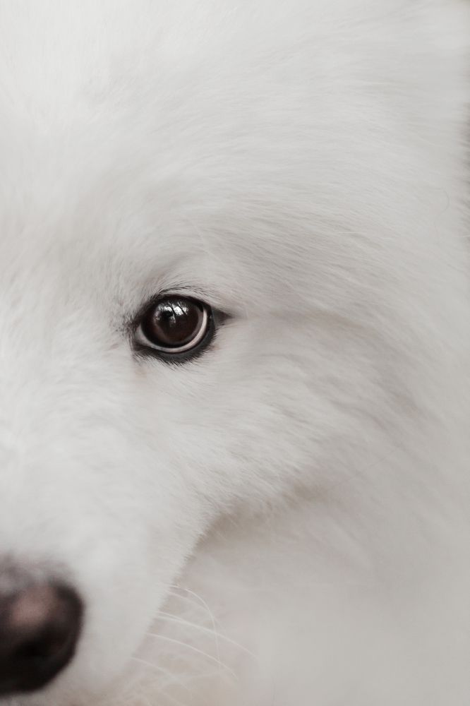 Photograph by Татьяна Степанова