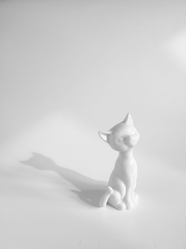 Photograph by Evgenia Korchagova