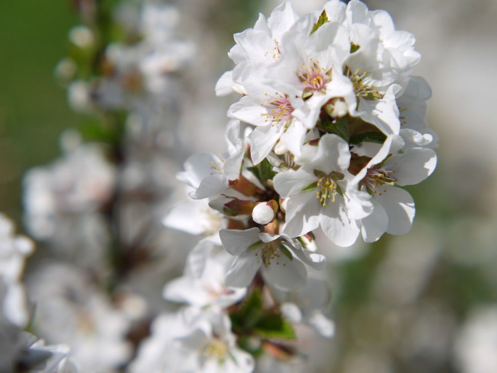 Photograph by Баженова Наталья