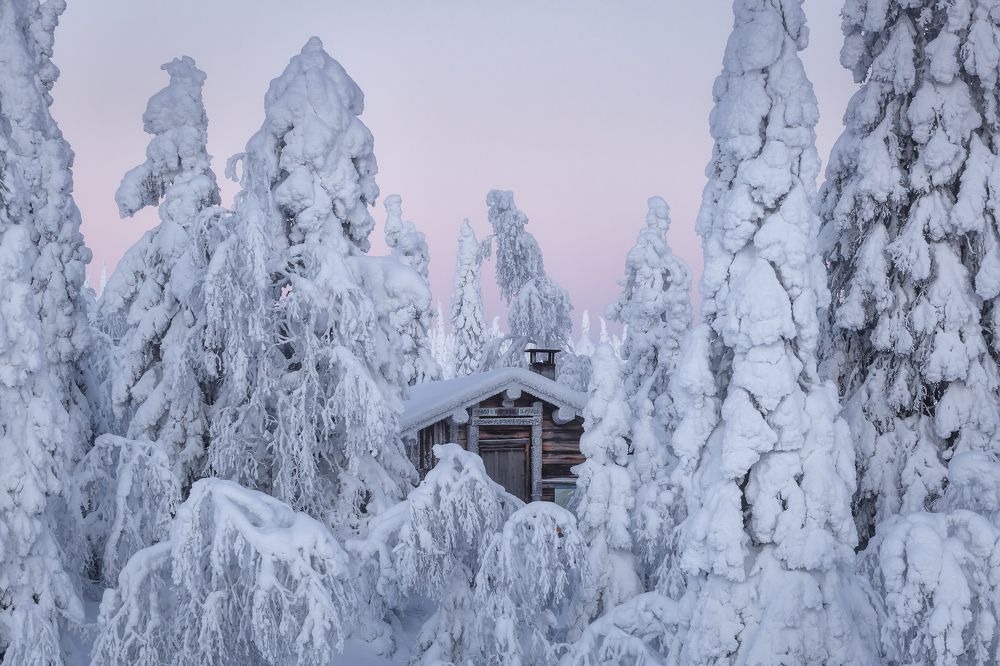 Фотография автора Александр Пашеничев