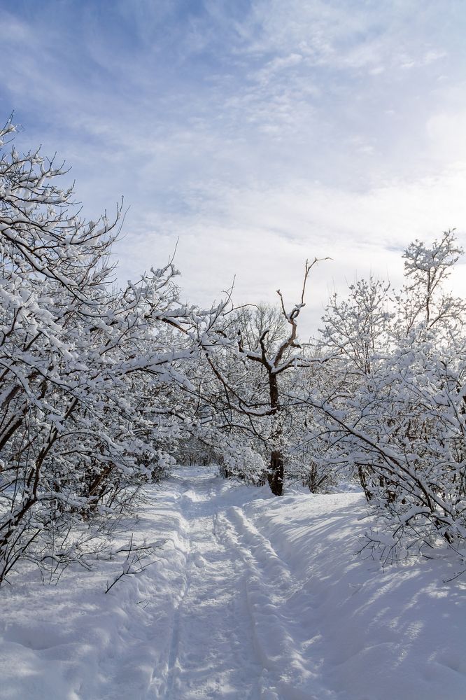 Photograph by Alexander Eliseev