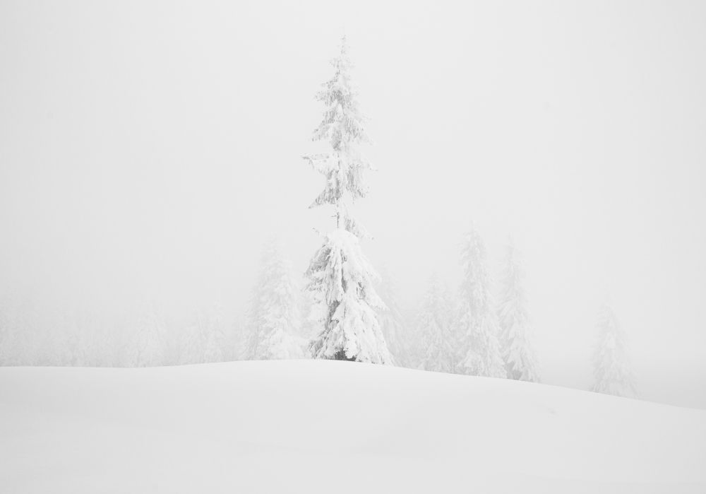 Photograph by Alexandru Pavel