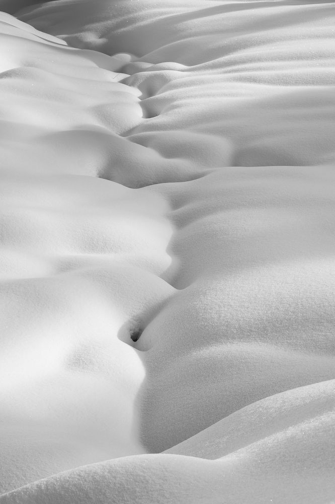 Photograph by Alexandru Pavel