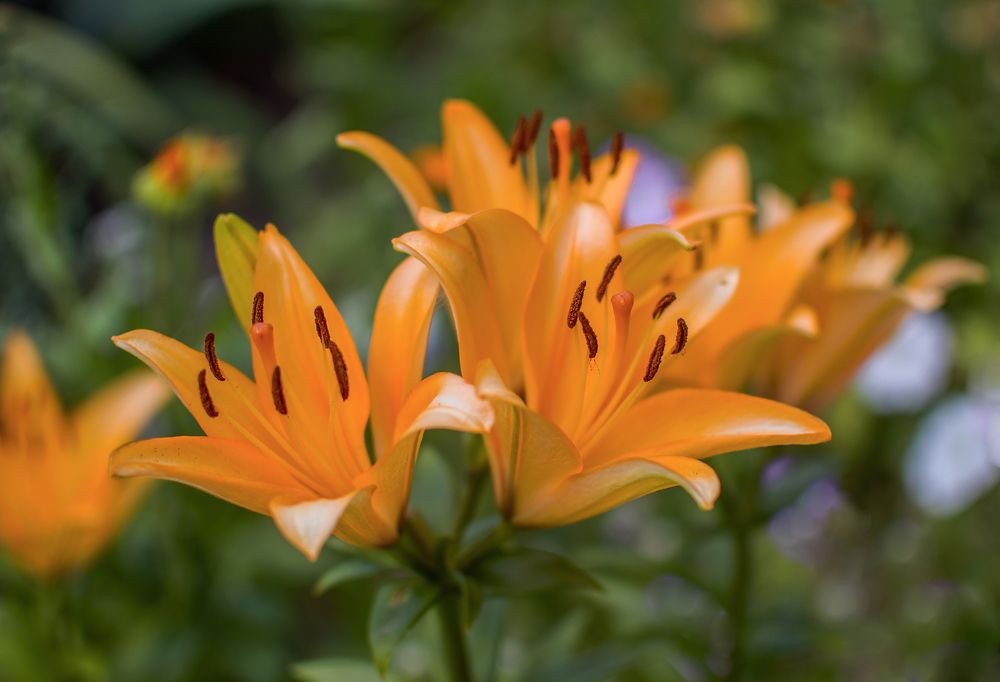 Photograph by Светлана Мельник