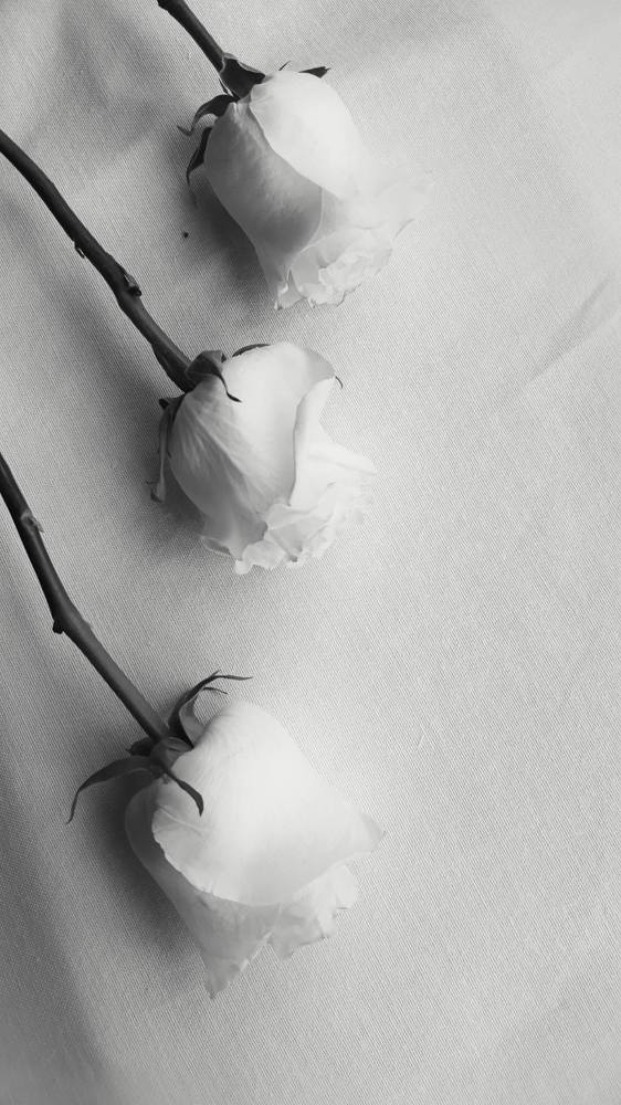 Photograph by Svitlana Usatenko