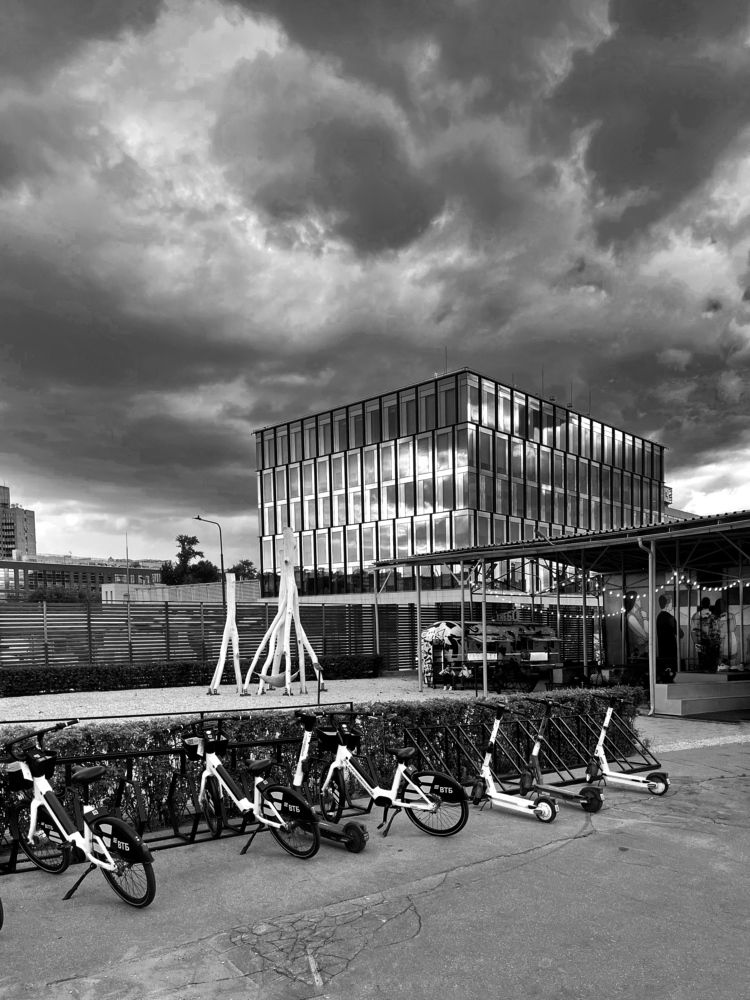 Фотография автора Юлия Степанова