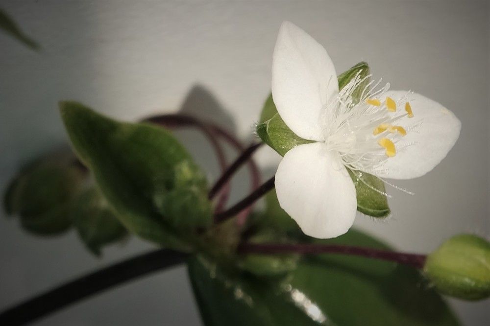 Photograph by Лариса Андреева