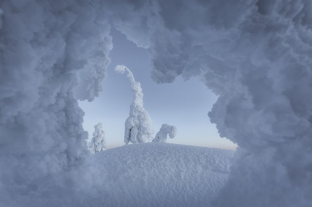 Photograph by Александр Пашеничев