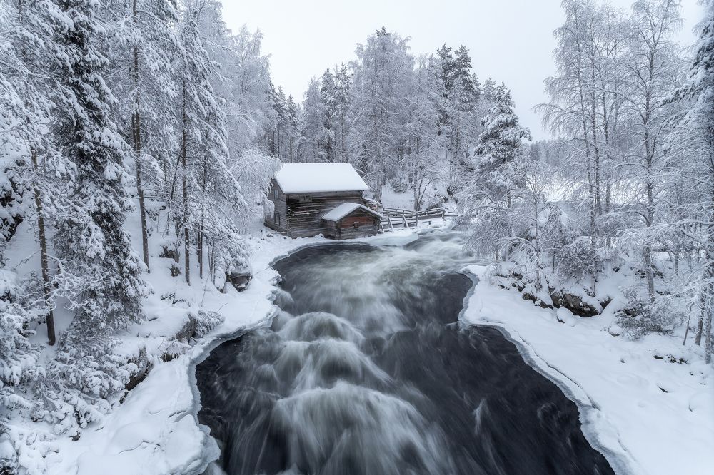 Фотография автора Александр Пашеничев
