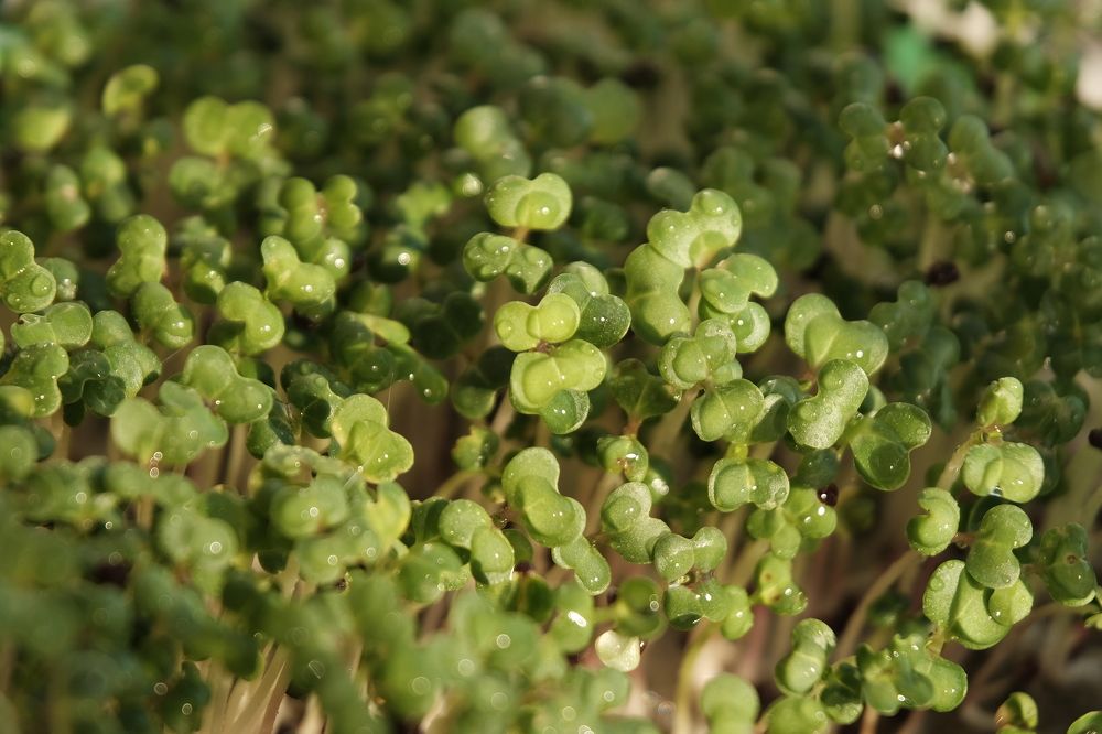 Photograph by Лариса Андреева