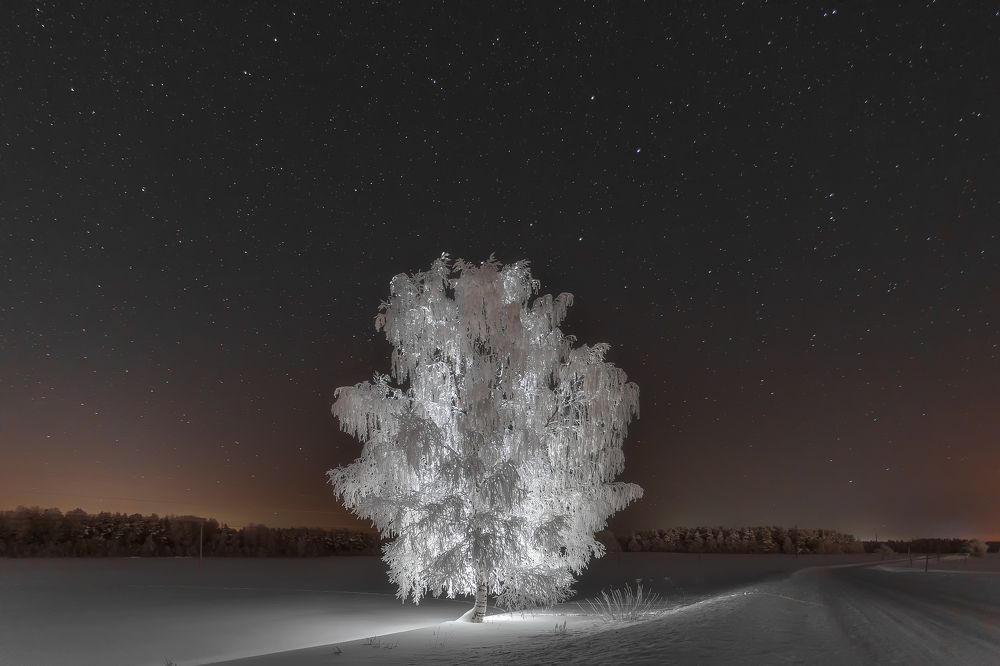 Фотография автора Александр Пашеничев