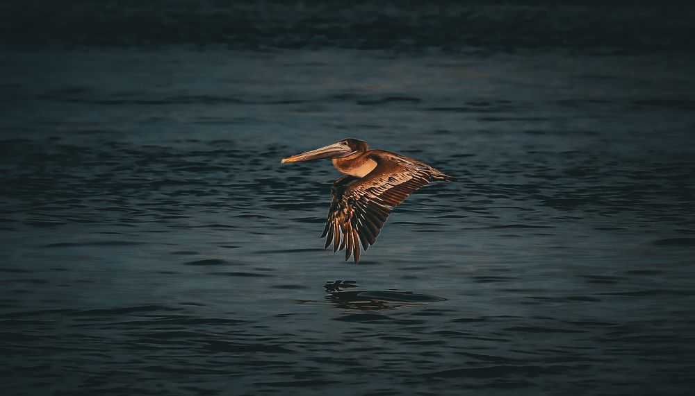 Photograph by Can O. Gunay