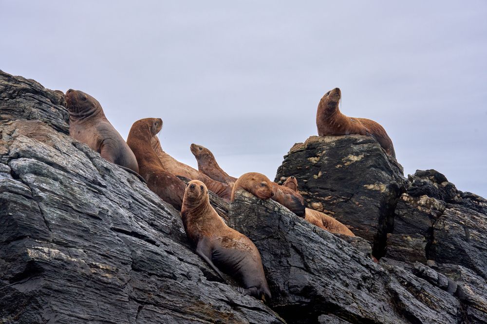 Photograph by Дмитрий Носов