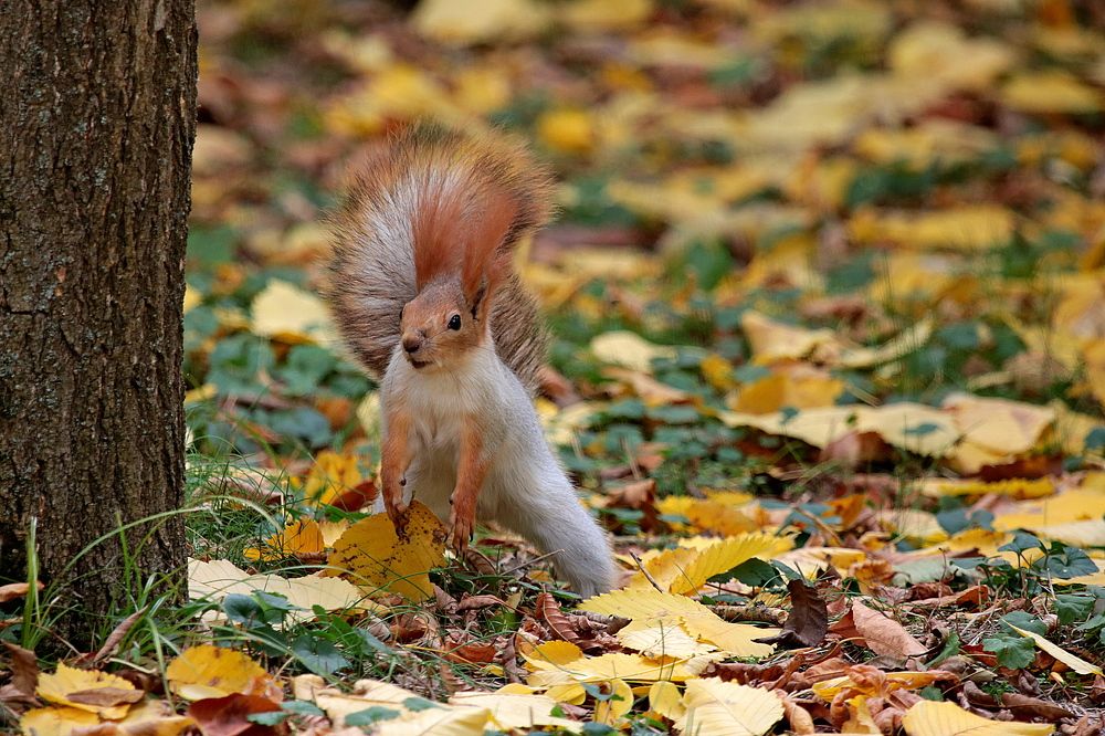 Photograph by Александр Глебов