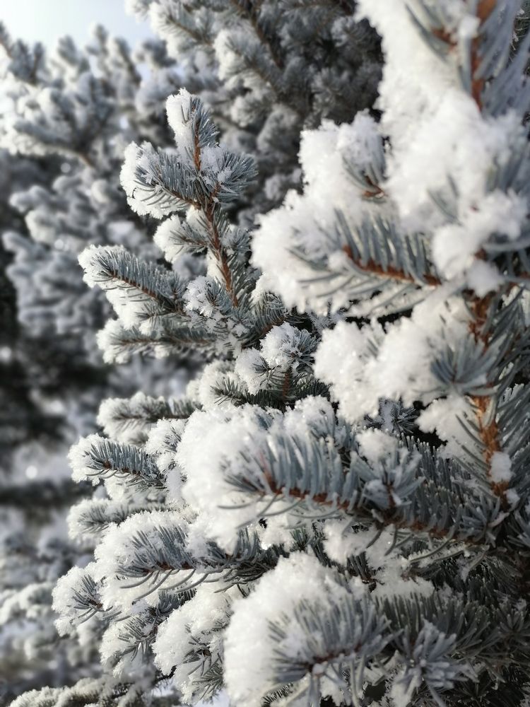 Photograph by Татьяна Бешенкина