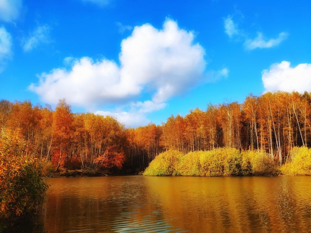 Photograph by Анна Корнейко